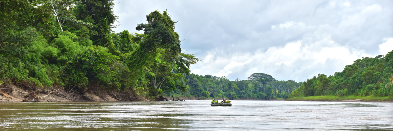 Amazon rafting on the Madre de Dios
