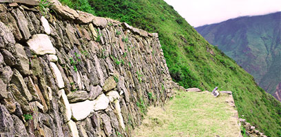 Choquequirao Llama Sector Terrace