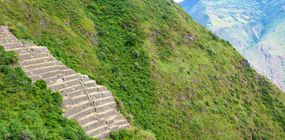 Choquequirao Lama Sektor und Terrassen