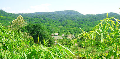 Huacaria Native Community in Manu National Park