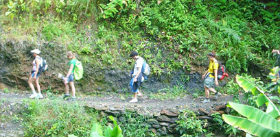 Sentier de la Inca Jungle