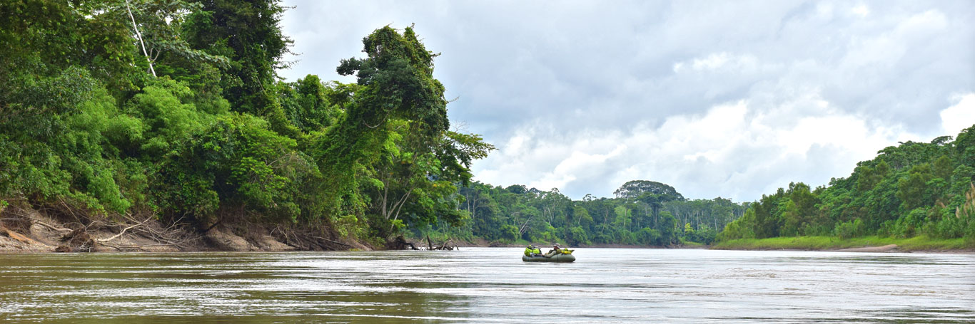 Amazon rafting on the Madre de Dios
