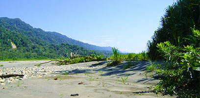 Manu Nationalpark Alto Madre de Dios Fluss Insel Strand