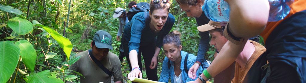 French Research Group, Manu National Park