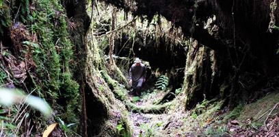 Union Trail Tunnel